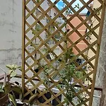Mama Pompei スカファーティ